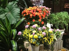 -春暖花开(西溪店)