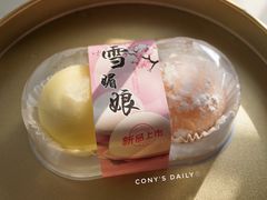 -向阳松鼠(恒大店)