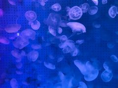-厦门海底世界