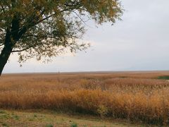-野鸭湖国家湿地公园