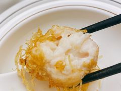 绣球虾球-丁老爷子苏香圆