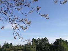 -白塘生态植物园
