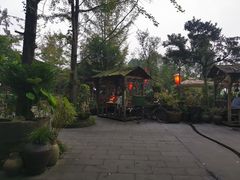 -青城甲(青城山店)