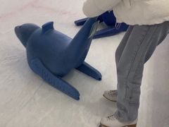 -TheRink大零溜冰场(IFS国金中心店)