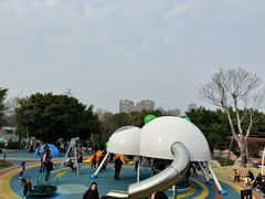 -光明港公园