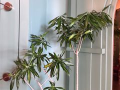 -南堂馆·新川菜(春熙路店)