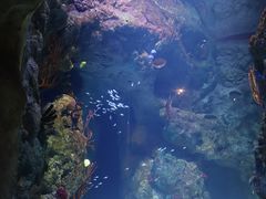 -珠海长隆海洋王国