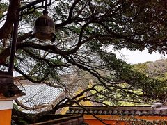 -普陀山风景区-佛顶山