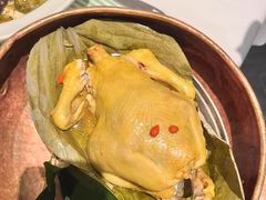-桂满陇·锦绣江南(益田广场店)