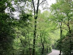 -岳麓山风景名胜区