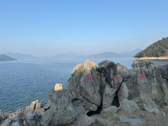 -千岛湖东南湖区