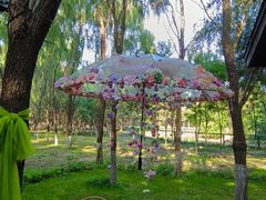 -长白岛森林公园