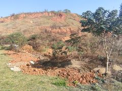 -盘龙城国家考古遗址公园