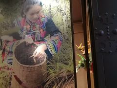 -云海肴云南菜·蒸汽石锅鱼(北京良乡华冠店)