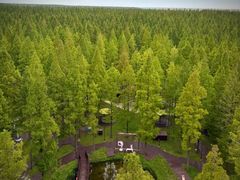 -黄海国家森林公园