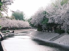 -海棠花溪(元大都城垣遗址公园)