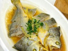 -渔意楼·驰名沙田乳鸽(五羊店)