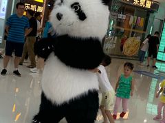 -上海颛桥万达广场