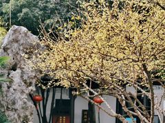 -南京市民俗博物馆(甘熙故居)