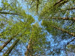 -国家植物园南园