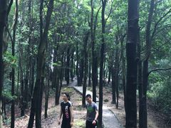 -火炉山森林公园