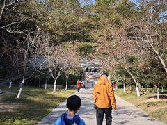 -广州市帽峰山景区