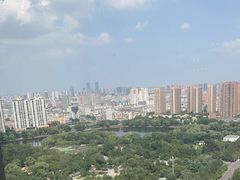 -君悦酒店·乐厨·高空自助餐(青年大街店)