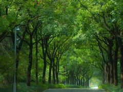 -白塘生态植物园