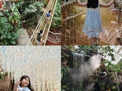 -正佳雨林生态植物园