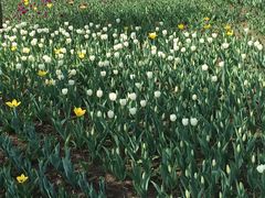 -长春公园(普阳街道)