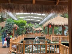 -南宫五洲植物乐园