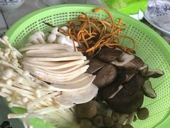 -午后庭院