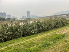 -光明小镇欢乐田园