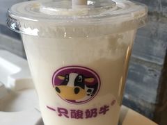 -一只酸奶牛(奎星楼店)