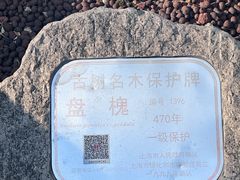-檀园