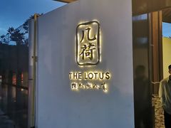 -几荷·恰似故人来(秀水广场店)