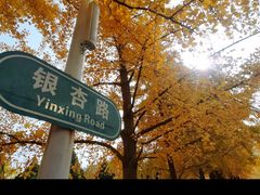 -辽宁大学(崇山校区)