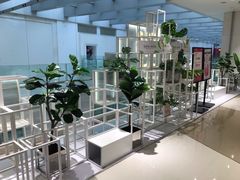 -叶子与茶(苏宁广场店)