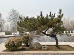 -廊坊市自然公园