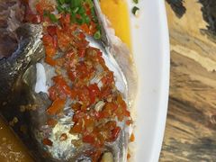 -印象鲵宴·张家界地标美食名片(溪布街店)