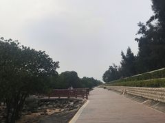 -宝安西湾红树林湿地公园