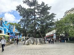 -昆明动物园
