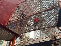 -中国福利会少年宫