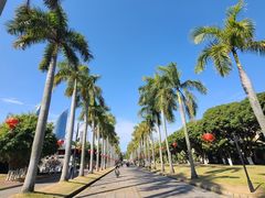 -厦门大学(思明校区)
