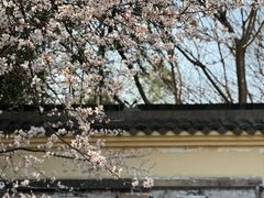 -汤山一号温泉度假区