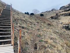-灵山