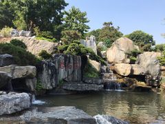 -东莞植物园