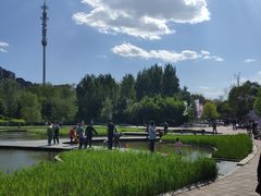 -长白岛森林公园