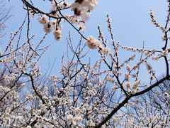 -棒棰岛宾馆景区