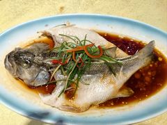 -新侨小馆(东直门北小街店)